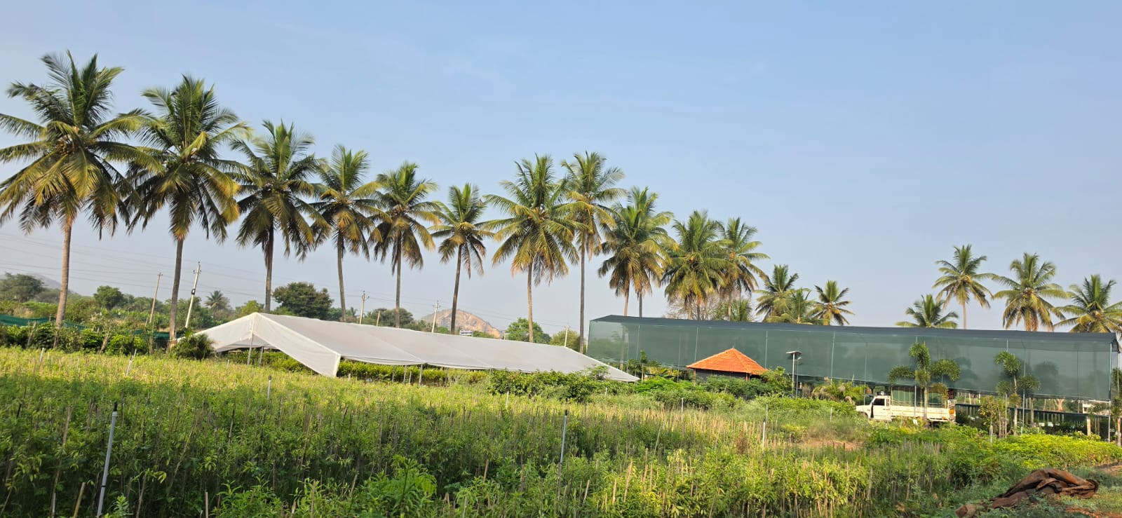 Mahadeshwara Agro Nursery Garden — Photo 10